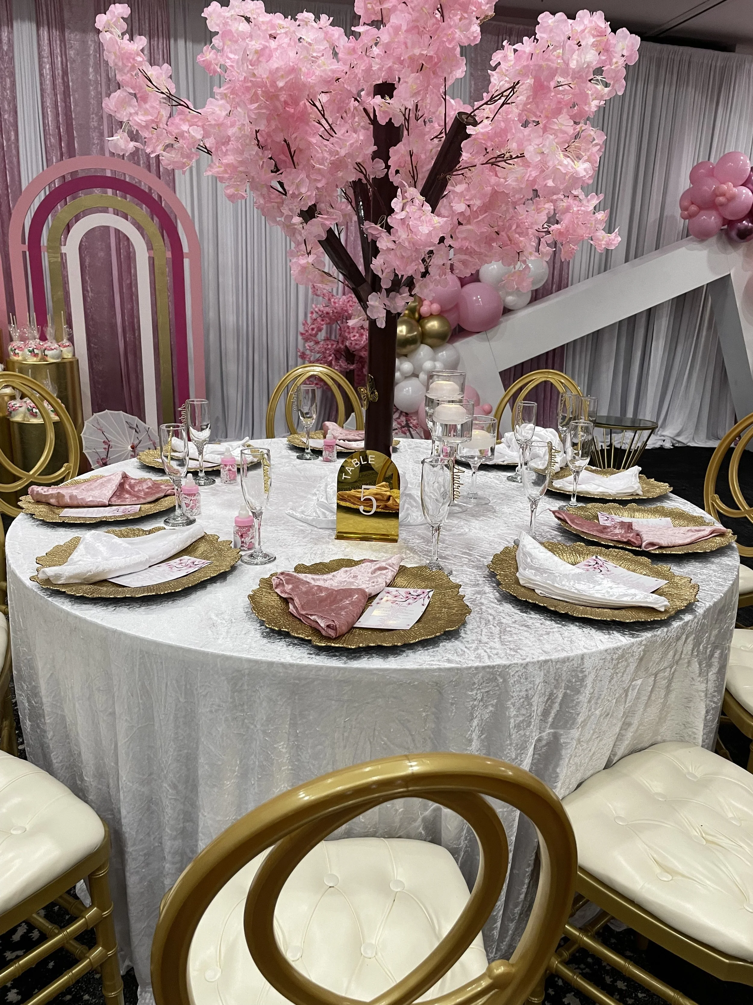 Baby Showers & Gender Reveals 2