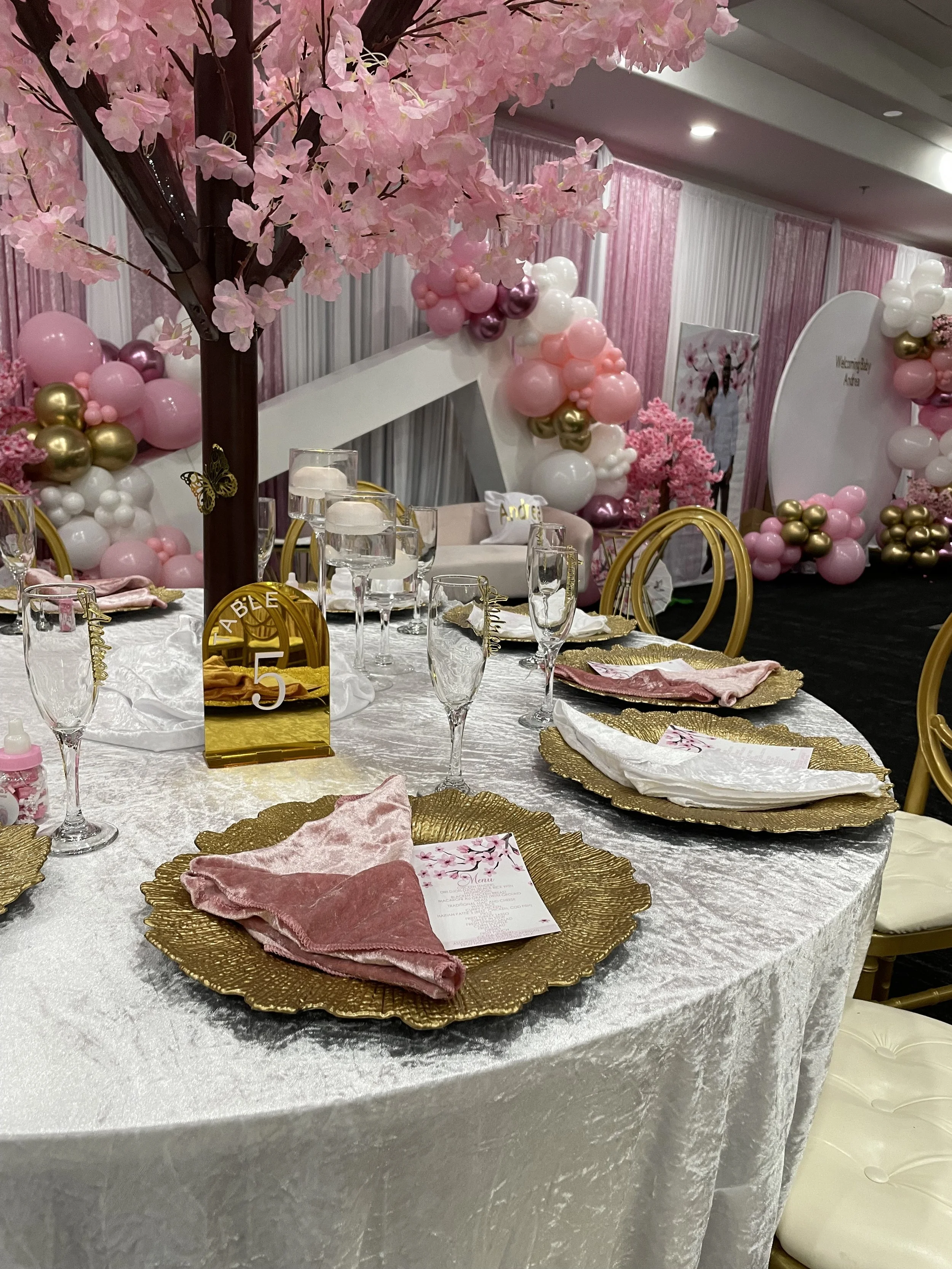 Baby Showers & Gender Reveals 5