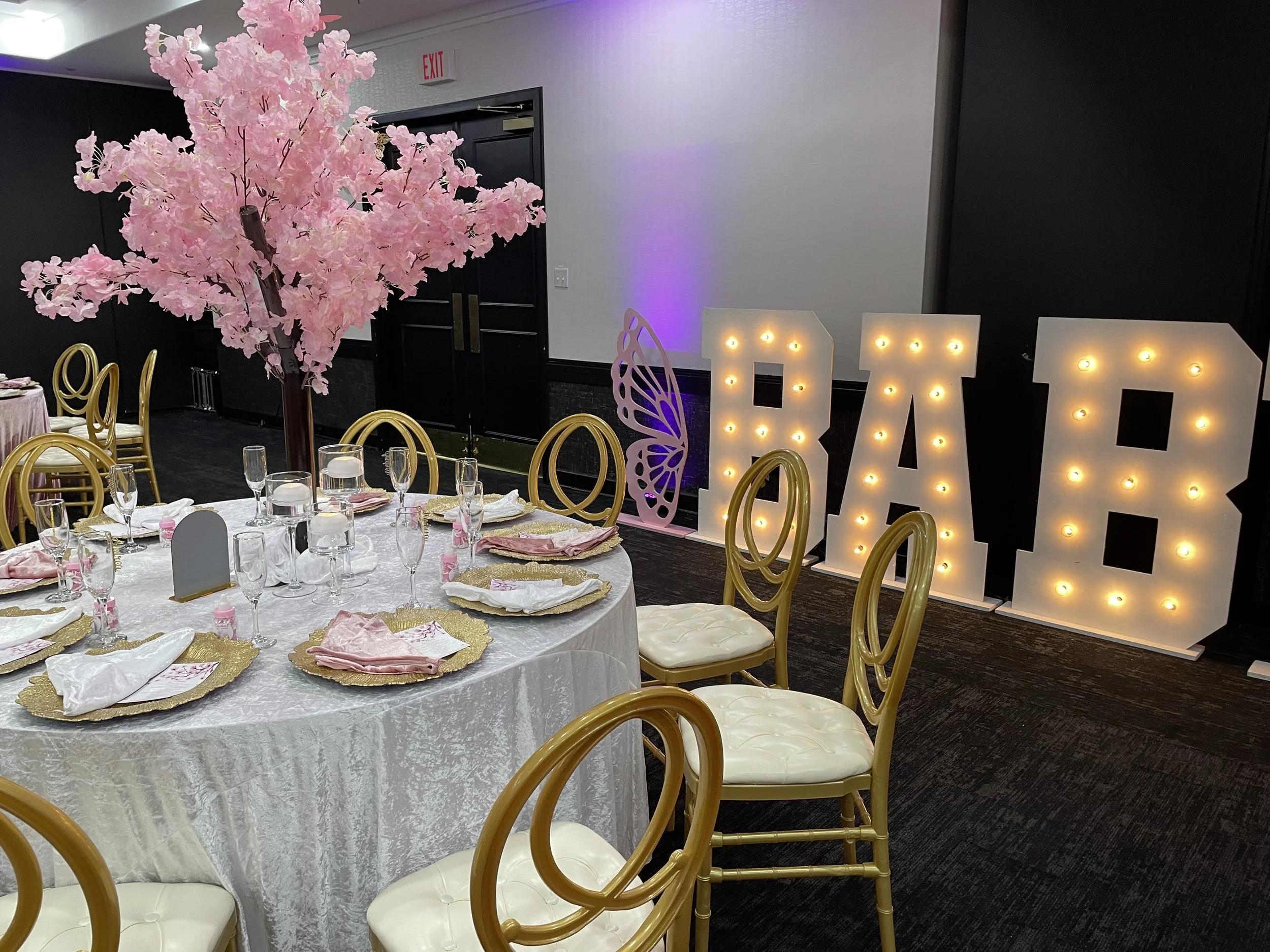 Baby Showers & Gender Reveals 10