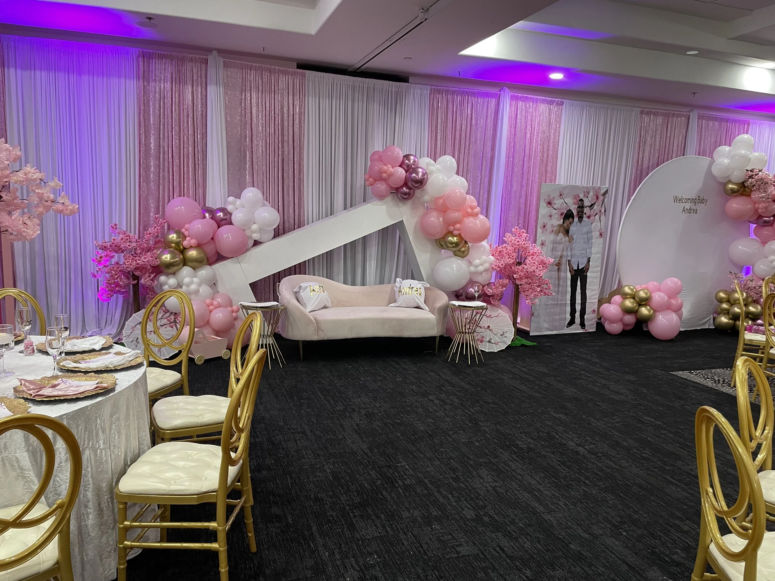 Baby Showers & Gender Reveals 11