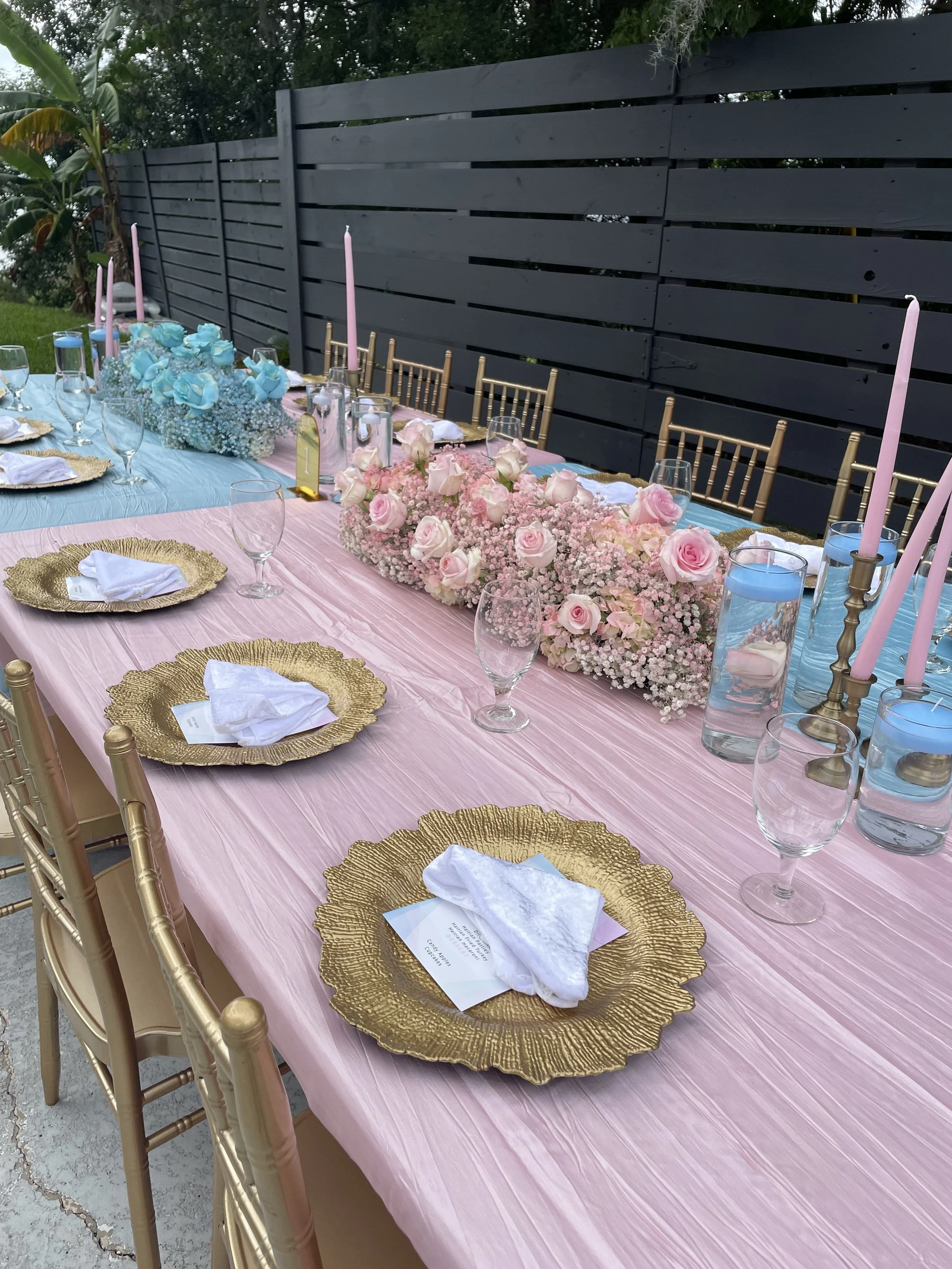 Baby Showers & Gender Reveals 12