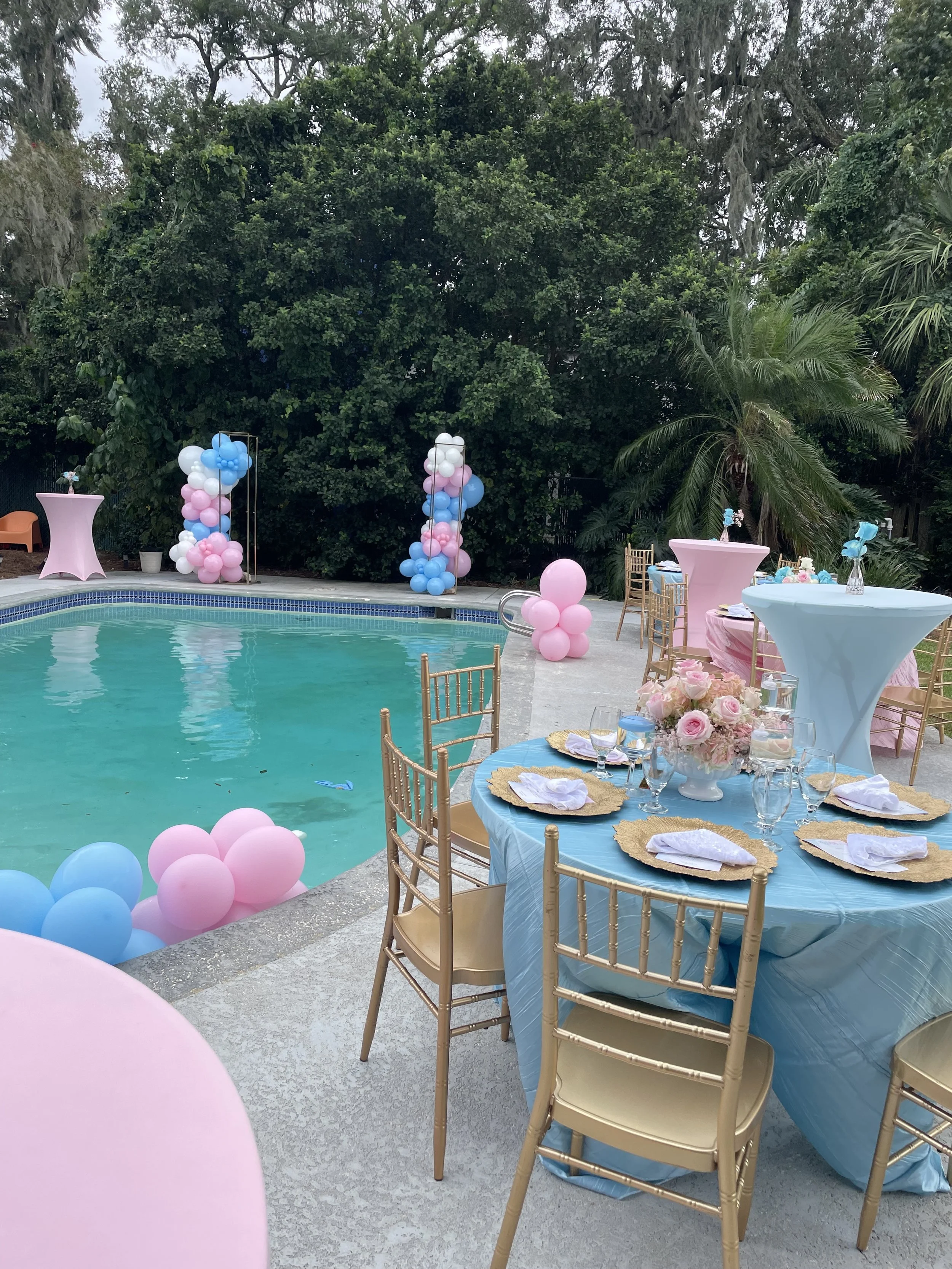 Baby Showers & Gender Reveals 13