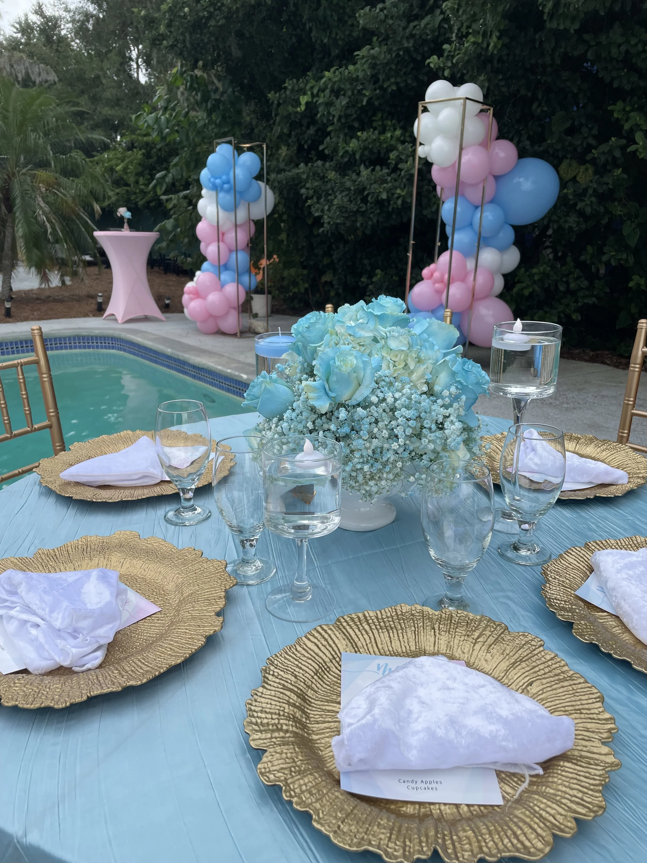 Baby Showers & Gender Reveals 15