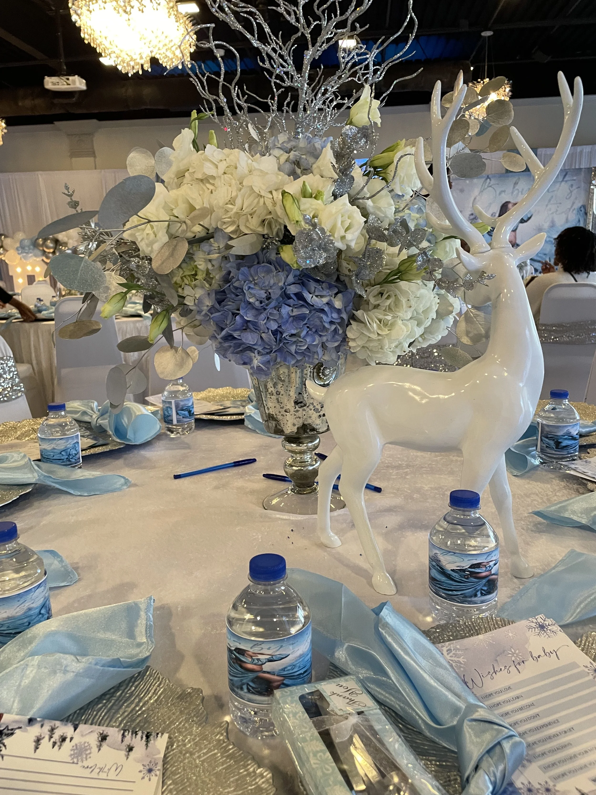 Baby Showers & Gender Reveals 28