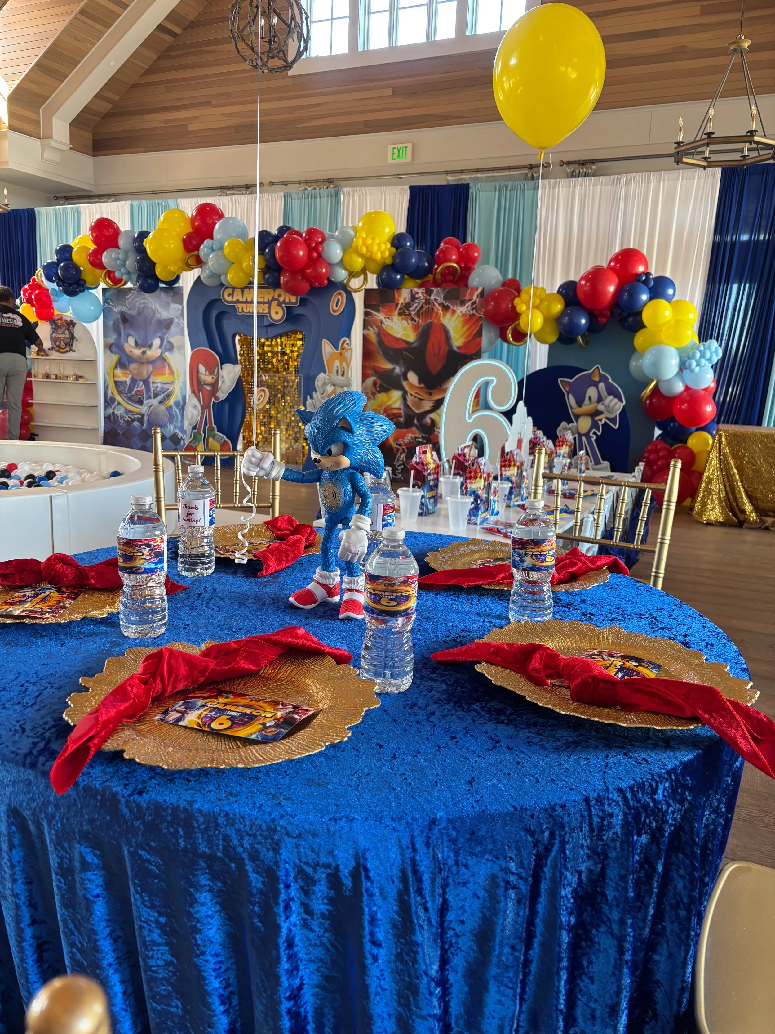 Kids Birthday Decor 15